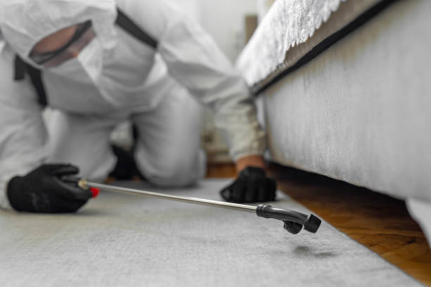 Professional Termite Control technician working in Milan, TN