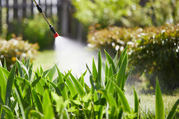 24/7 Emergency Termite Control experts in Milan, TN