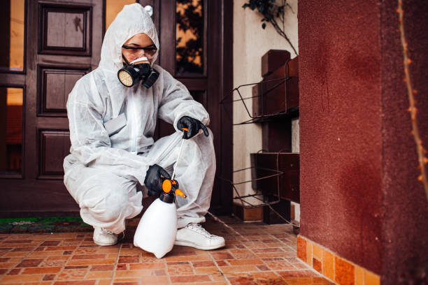Reliable Termite Control contractor in Milan, TN by Nex Pest Control